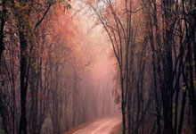 亚马尔：巴萨现在是欧冠最大热门，原本是利物浦.