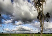 [NBA]加兰30+8 骑士逆转篮网.