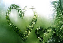 山东名将季新杰夺得2025年全国春季游泳锦标赛男子200米自由泳冠军.