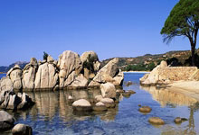 倪夏莲获至高荣誉！曾因“被让球”远赴欧洲，已征战6届奥运.